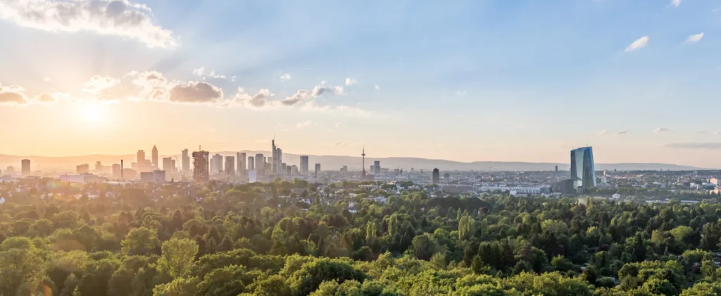 Frankfurt skyline in evening light over green treetops, view of the city