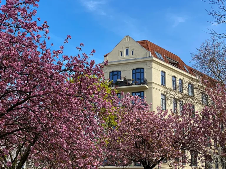 Early-modern facade with balcony behind flowering cherry trees in the Hamburg district of Eimsbüttel