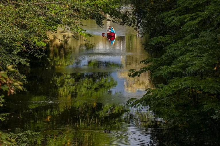 Canoeing on a tree-lined waterway in Hamburg Eimsbüttel