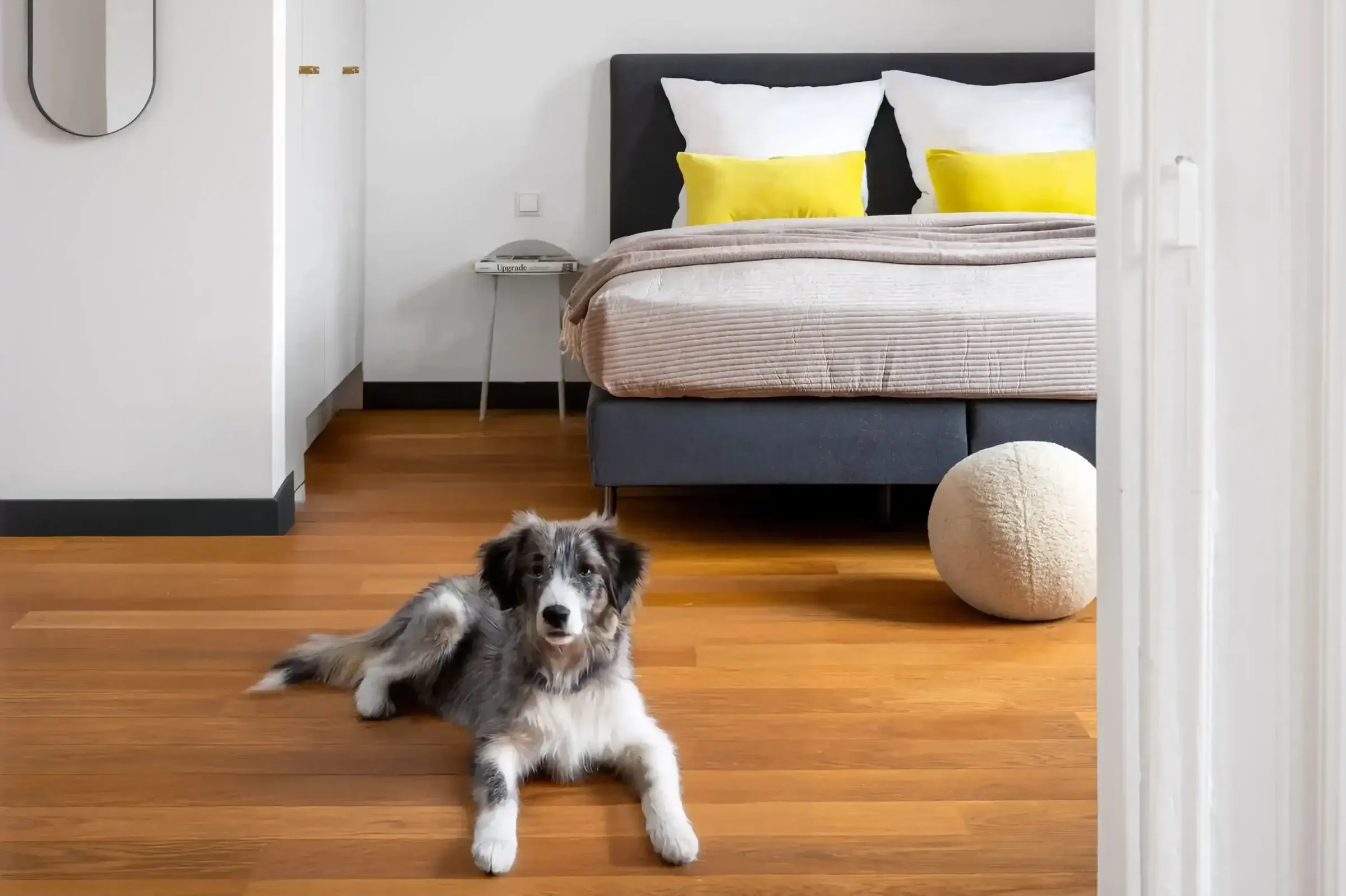 Ein Hund liegt auf dem Parkettboden vor einem Bett mit gelben Kissen.