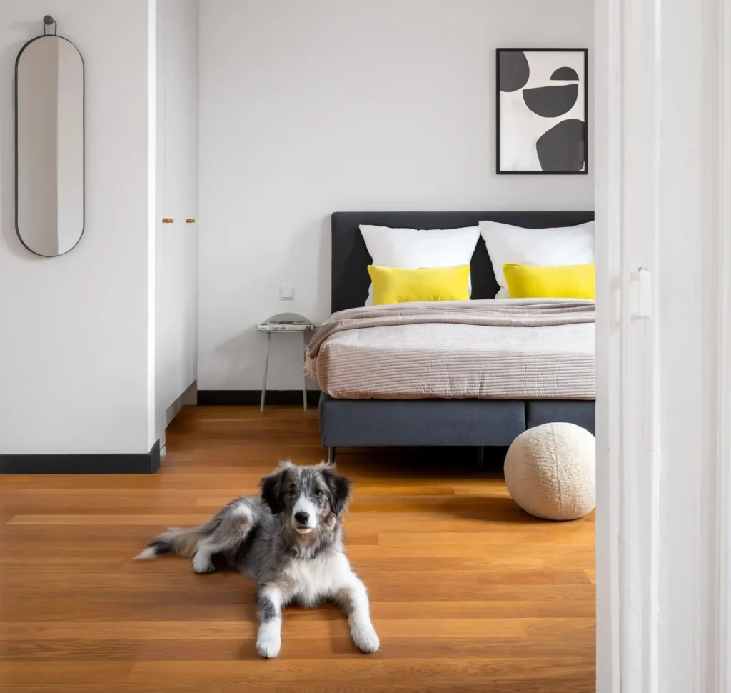 Ein Hund liegt im Vordergrund eines minimalistischen Schlafzimmers mit grauem Bett und gelben Kissen.